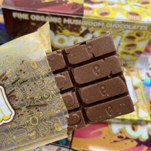 Portal 6g chocolate bars