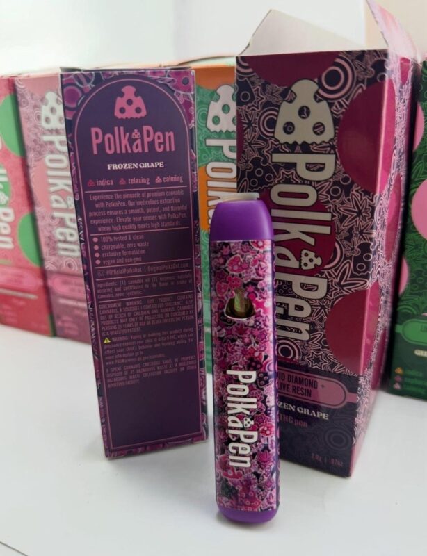 Why Everyone Is Switching to Polkadot 2G Disposable in 2026