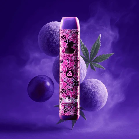 Beginner’s Guide to the Polkadot 2G Disposable
